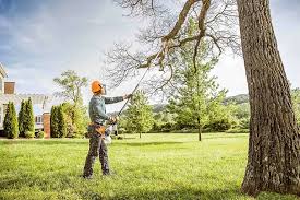 Best Tree Mulching  in Greenville, PA